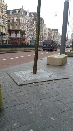 Het Rokin in Amsterdam heeft onkruidvrije boomspiegels dankzij CityKrans van PVN Bestratingsvoegen