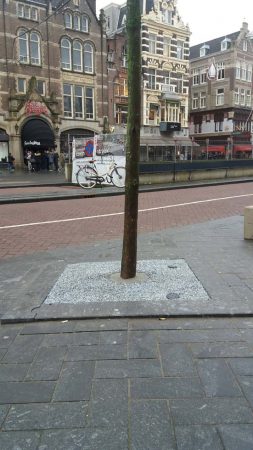 Het Rokin in Amsterdam heeft onkruidvrije boomspiegels dankzij CityKrans van PVN Bestratingsvoegen